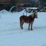 wpid-20140121_171637.jpg