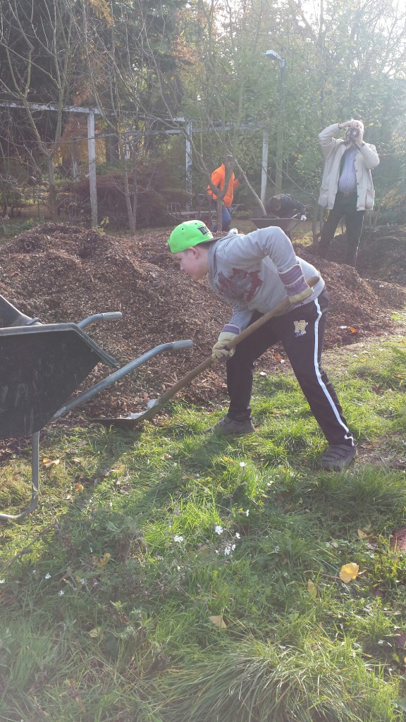 wpid-20141122_121142.jpg